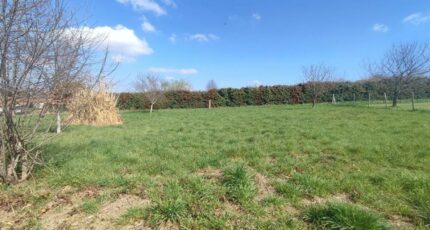 Royères Maison neuve - 2357821-11648annonce120251204VvnkW.jpeg Maisons France Confort