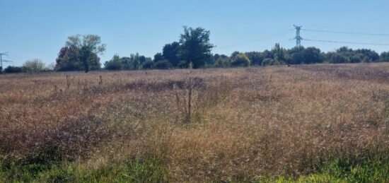Terrain à bâtir à Saint-Savin, Nouvelle-Aquitaine