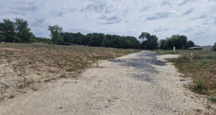 Saint-Aubin-de-Blaye Terrain à bâtir - 2358190-11516annonce220250718arJbk.jpeg Maisons France Confort