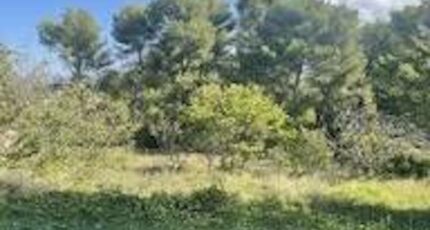 Marseille 12 Terrain à bâtir - 2358474-7054annonce320251205DC1Em.jpeg Maisons France Confort