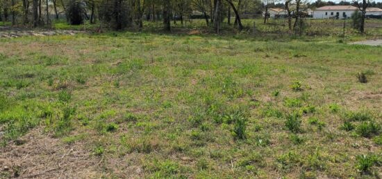 Terrain à bâtir à Parentis-en-Born, Nouvelle-Aquitaine