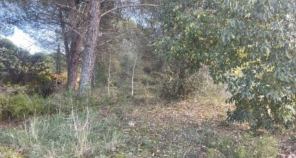 Alleins Terrain à bâtir - 2358453-3969annonce420251205ynmcv.jpeg Maisons France Confort