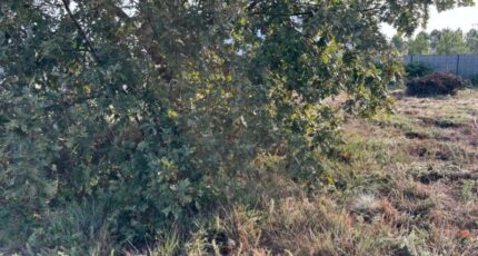 Saint-Paul-lès-Dax Terrain à bâtir - 2321178-11650annonce1202510294v5Uy.jpeg Maisons France Confort