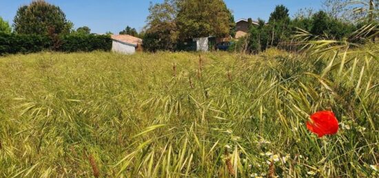 Terrain à bâtir à Castets, Nouvelle-Aquitaine