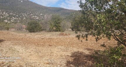 Sorgues Maison neuve - 2326902-695annonce220251103JHAbS.jpeg Maisons France Confort