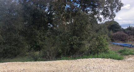 La Baume-de-Transit Terrain à bâtir - 2358987-812annonce120241128ZPEbc.jpeg Maisons France Confort