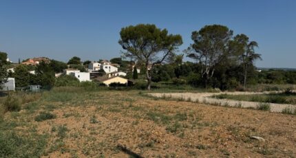 Mus Maison neuve - 2359117-11455annonce120251205IlPgz.jpeg Maisons France Confort