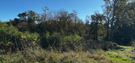 Terrain à bâtir à Tresses, Nouvelle-Aquitaine
