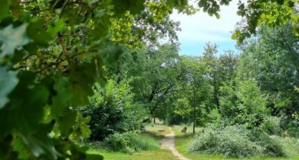 Floirac Maison neuve - 2310139-11383annonce120251018EQp76.jpeg Maisons France Confort