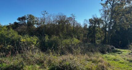 Tresses Maison neuve - 2310141-11383annonce120251018CRoSM.jpeg Maisons France Confort