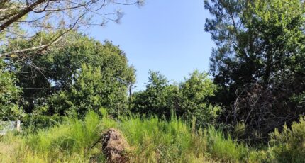 Vendays-Montalivet Terrain à bâtir - 2254381-11260annonce120250829KNWsx.jpeg Maisons France Confort