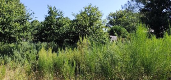 Terrain à bâtir à Vendays-Montalivet, Nouvelle-Aquitaine