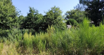 Vendays-Montalivet Maison neuve - 2296359-11260annonce120251007DgCGR.jpeg Maisons France Confort