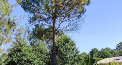 Vendays-Montalivet Maison neuve - 2254411-11260annonce220250829BA2cG.jpeg Maisons France Confort