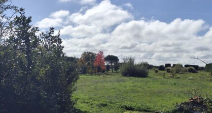 Saint-Seurin-de-Cadourne Terrain à bâtir - 2323076-11260annonce1202510303PsTW.jpeg Maisons France Confort