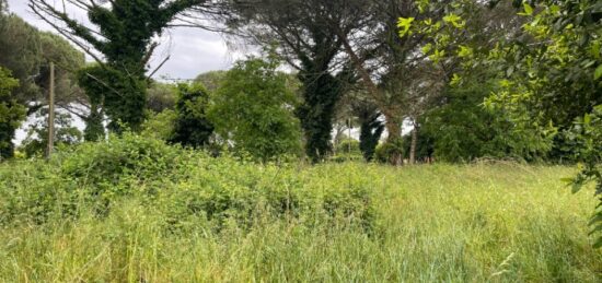 Terrain à bâtir à Saint-Maixant, Nouvelle-Aquitaine