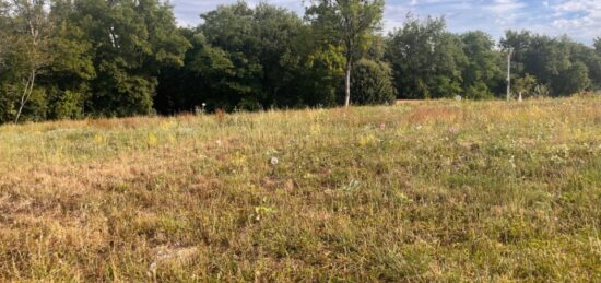 Terrain à bâtir à Frontenac, Nouvelle-Aquitaine