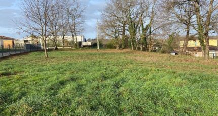 Baron Terrain à bâtir - 2360482-10331annonce1202412083sJT4.jpeg Maisons France Confort