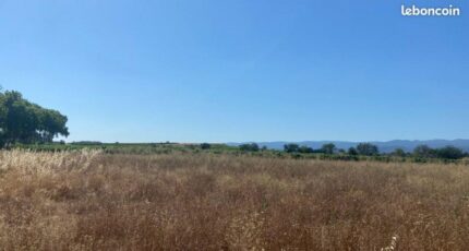 Olonzac Terrain à bâtir - 2298061-10986annonce120251008mIHnU.jpeg Maisons France Confort