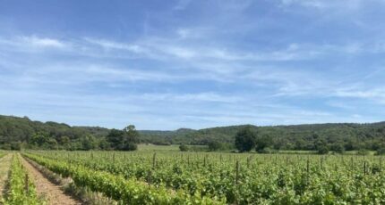 Lézignan-Corbières Maison neuve - 2330842-10986annonce120251106XH6UO.jpeg Maisons France Confort