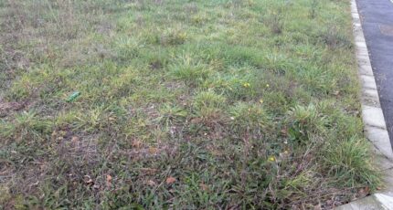 Verfeil Maison neuve - 2358237-11356annonce220251205N8pnX.jpeg Maisons France Confort