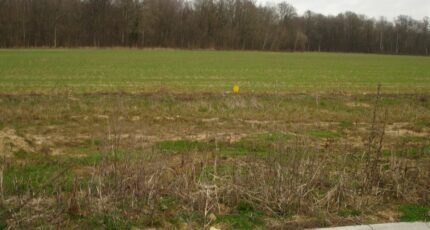 Longueville Terrain à bâtir - 2360245-4353annonce120251207X3XFN.jpeg Maisons France Confort