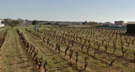 Cruzy Maison neuve - 2256661-692annonce120250901nq6d6.jpeg Maisons France Confort