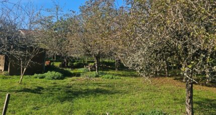 Bazas Terrain à bâtir - 2293139-11284annonce1202510039dpcd.jpeg Maisons France Confort