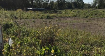 Bouhet Terrain à bâtir - 2360661-10442annonce320251208geyEz.jpeg Maisons France Confort