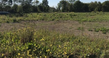 Bouhet Terrain à bâtir - 2360661-10442annonce420251208aVZcm.jpeg Maisons France Confort