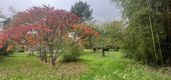 Terrain à bâtir à Sauternes, Nouvelle-Aquitaine