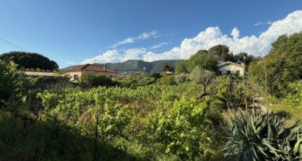 Toulon Maison neuve - 2361200-11136annonce4202512083mkmF.jpeg Maisons France Confort