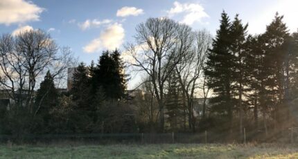 Aigné Terrain à bâtir - 2325207-3488annonce120251101IICaC.jpeg Maisons France Confort