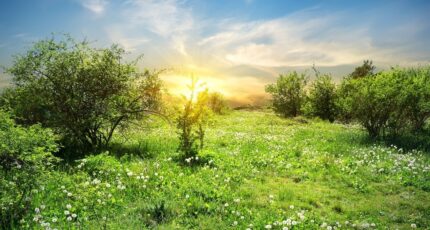 Fargues-Saint-Hilaire Maison neuve - 2361695-11596annonce120251208Kkbw0.jpeg Maisons France Confort