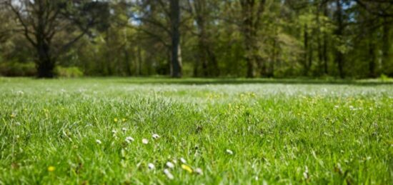 Terrain à bâtir à Richelieu, Centre-Val de Loire
