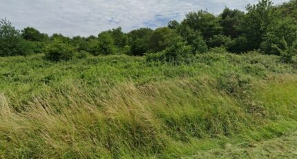 Saint-Savin Maison neuve - 2361839-11516annonce120251005HbPrG.jpeg Maisons France Confort