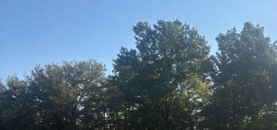 Terrain à bâtir à Cadarsac, Nouvelle-Aquitaine