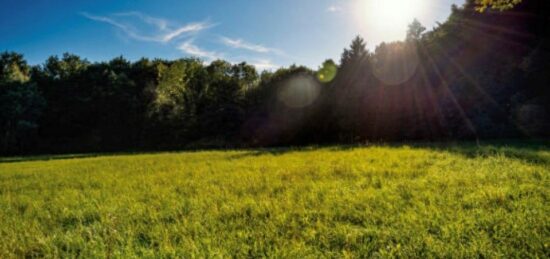 Terrain à bâtir à Wambrechies, Hauts-de-France