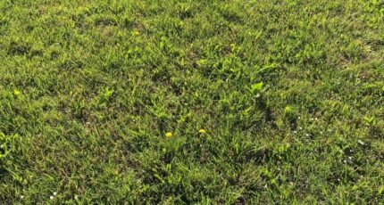 Belin-Béliet Terrain à bâtir - 2362350-11289annonce120251209gnVdh.jpeg Maisons France Confort