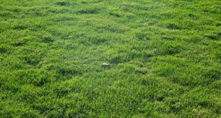 Saint-Hilaire-de-Riez Maison neuve - 2356484-7159annonce120251204TumBP.jpeg Maisons France Confort