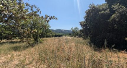 Rustrel Terrain à bâtir - 2272997-2970annonce120250916JrhGW.jpeg Maisons France Confort