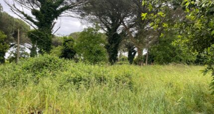 Saint-Maixant Maison neuve - 2358108-10677annonce1202512059bhhW.jpeg Maisons France Confort