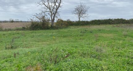 Le Thou Maison neuve - 2355779-11194annonce220251203Nz60W.jpeg Maisons France Confort