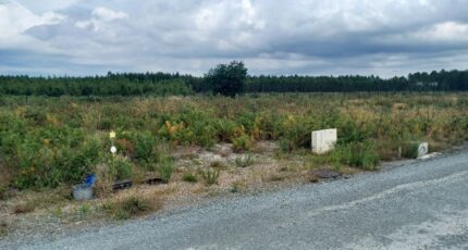 Lanton Maison neuve - 2362880-3127annonce120250716yTo0A.jpeg Maisons France Confort