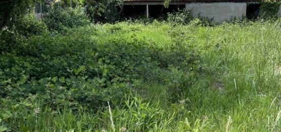 Terrain à bâtir à Torcy, Île-de-France