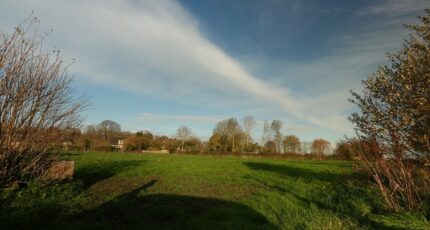 Saint-Manvieu-Norrey Maison neuve - 2363476-11660annonce220251210Xa6Gy.jpeg Maisons France Confort