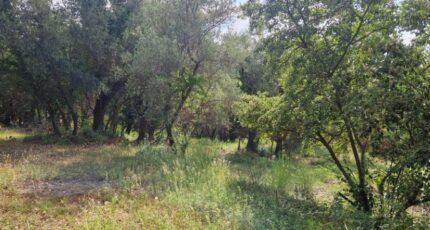 Grasse Terrain à bâtir - 2293596-1836annonce220251003SUXhf.jpeg Maisons France Confort