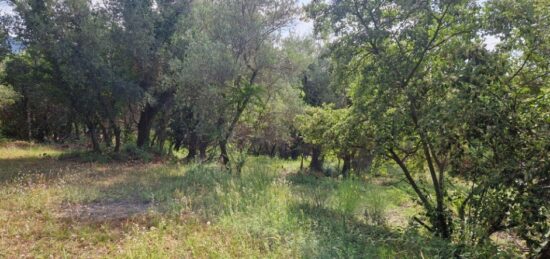 Terrain à bâtir à , Alpes-Maritimes