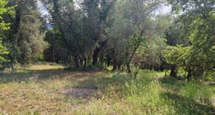 Grasse Terrain à bâtir - 2293596-1836annonce320251003yo9Iy.jpeg Maisons France Confort