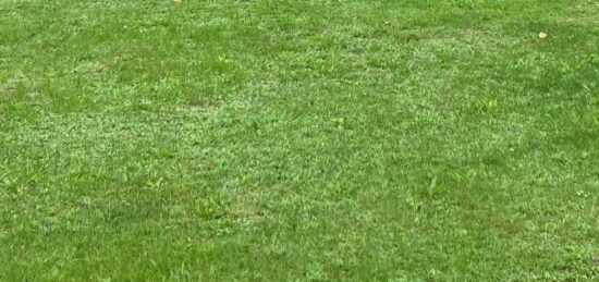 Terrain à bâtir à Saint-Sulpice-de-Cognac, Nouvelle-Aquitaine